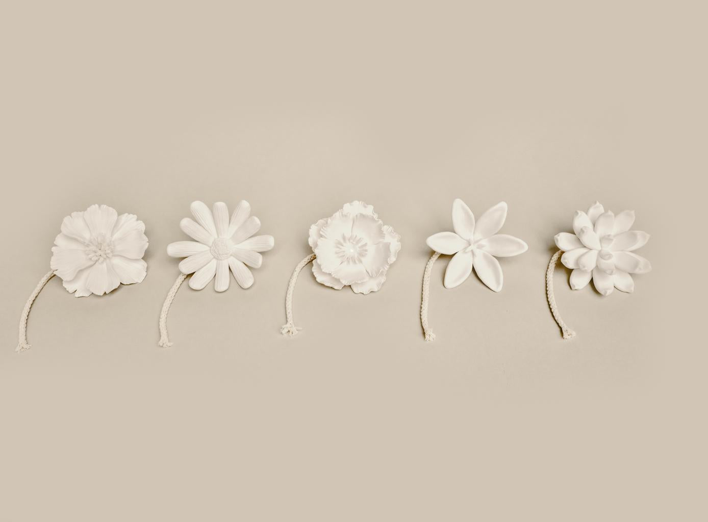 Scented Flower Sakura