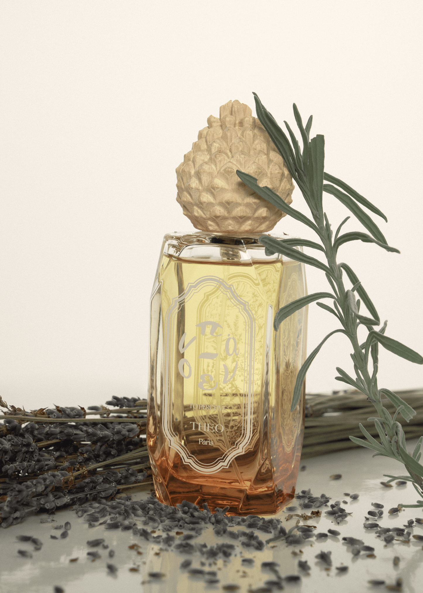 To Perceive — Self-Perception