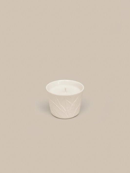 Theo Small Candle 35g