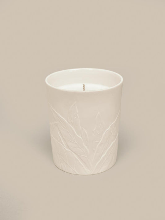 Theo Medium Candle 250g