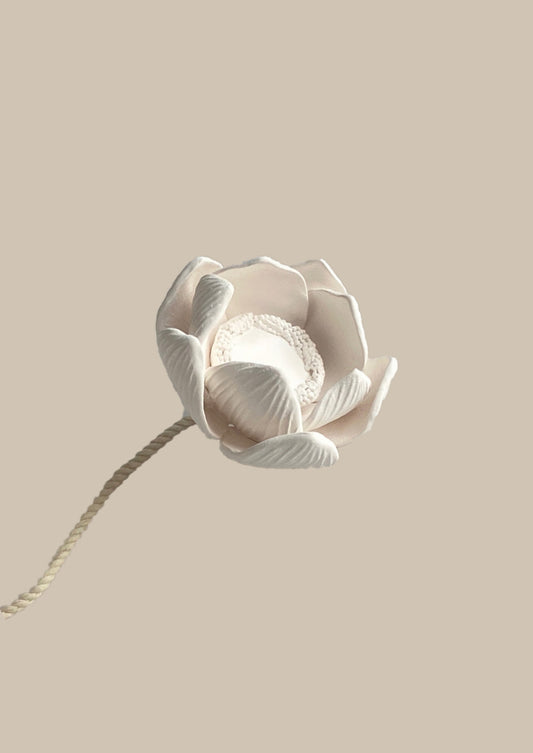 Scented Flower Lotus
